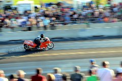 IMG_8124