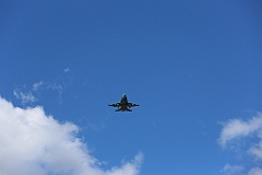 4L4C4881