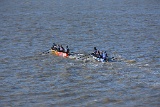 4L4C1356