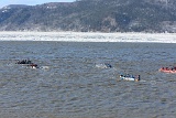 4L4C1376