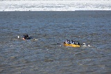 4L4C1384