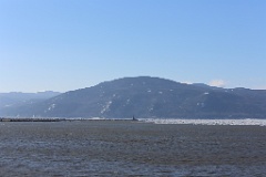 4L4C1417