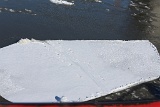 4L4C1423