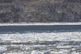 4L4C1456