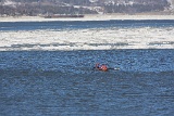 4L4C1475