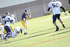 Juvenile1182