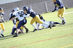 Juvenile1184