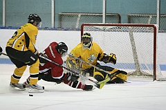 IMG_008560