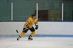 IMG_008965