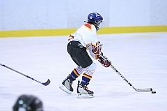 H_002719