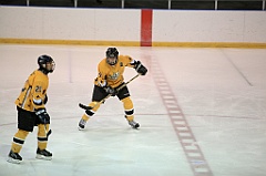 C5D_083631