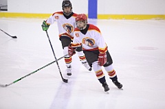 C5D_054909