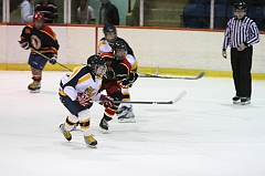 Midget_0685