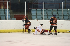 MidgetB0773