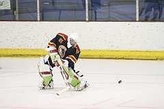 MidgetB0791