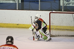 MidgetB0798