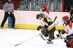 MidgetB_0974
