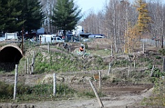 C5D_053732