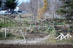 C5D_053733